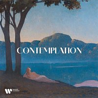 Přední strana obalu CD Contemplation