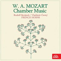 Přední strana obalu CD Mozart,W.A. / Komorní hudba