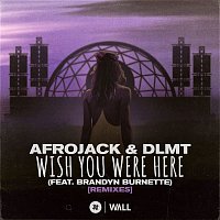 Afrojack & DLMT – Wish You Were Here (feat. Brandyn Burnette) [Remixes]