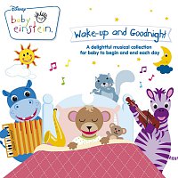 Přední strana obalu CD Baby Einstein - Wake Up And Goodnight