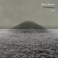 Bjorn Meyer – Provenance