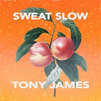Tony James – Sweat Slow