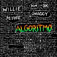 Willie Peyote, Shaggy, Don Joe – Algoritmo
