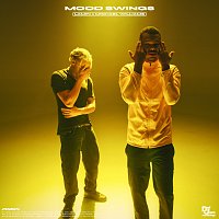 Lamin, Michael Williams – Mood Swings