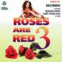 Yusuf Azad, Rashida Khatoon – Jab Kunware They Ham