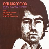 Neil Diamond – Velvet Gloves And Spit