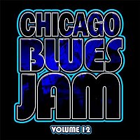 Chicago Blues Jam, Vol. 12 (Live)