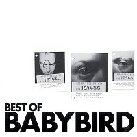 Babybird – Best of Babybird