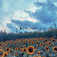 Vincenzo Crimaco – Sunflower