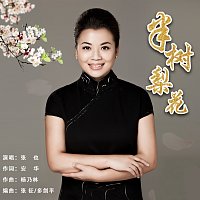 Přední strana obalu CD ????