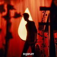 Regnvaer – Dust