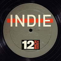 Přední strana obalu CD 12 Inch Dance: Indie