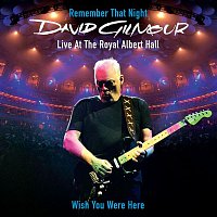 David Gilmour – Wish You Were Here