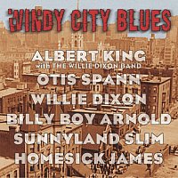 Různí interpreti – Windy City Blues