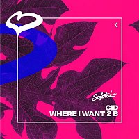 CID – Where I Want 2 B