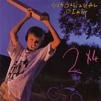 Přední strana obalu CD 2X4