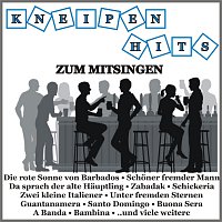 Různí interpreti – Kneipenhits zum Mitsingen
