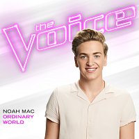 Noah Mac – Ordinary World [The Voice Performance]