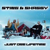 Sting, Shaggy – Just One Lifetime