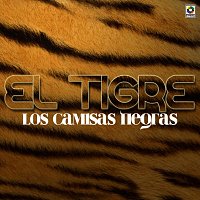 Los Camisas Negras – El Tigre