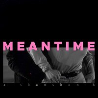 ansh – Meantime
