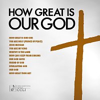 Přední strana obalu CD How Great Is Our God