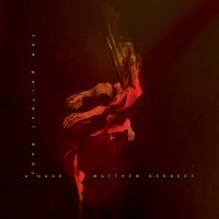 Matthew Herbert – A Nude - The Perfect Body