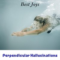 Přední strana obalu CD Best Joys