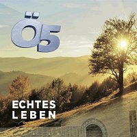 O5 – Echtes Leben