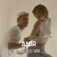 Amir – What You Want