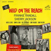 Cindy Malone – Wild On the Beach (Original Motion Picture Soundtrack)