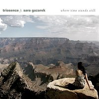 Triosence, Sara Gazarek – Only One Evening