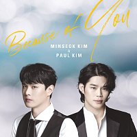 Min Seok Kim, Paul Kim – Because Of You