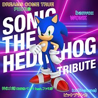Různí interpreti – Sonic the Hedgehog Tribute
