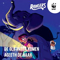 Přední strana obalu CD De Olifanten Komen