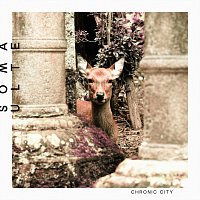 Přední strana obalu CD Soma Ulte