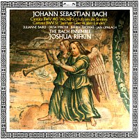 Bach, J.S.: Cantatas Nos. 140 & 51