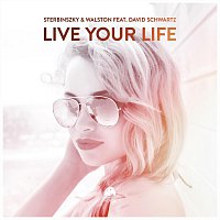 Sterbinszky, Walston, David Schwartz – Live Your Life (feat. David Schwartz)