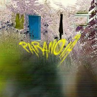 Resetedh – Paranoia
