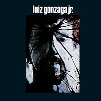 Luiz Gonzaga Jr - Gonzaguinha