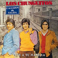 Los Chunguitos – Vive a Tu Manera (Directo)