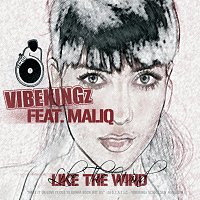 Vibekingz, Maliq – Like The Wind [Digital Version 1]