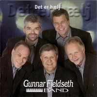 Gunnar Fjeldseth Band – Det er haelj