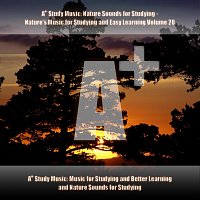 A+ Study Music: Music for Studying and Better Learning and Nature Sounds for Studying – A+ Study Music: Nature Sounds for Studying - Nature's Music for Studying and Easy Learning, Vol. 20