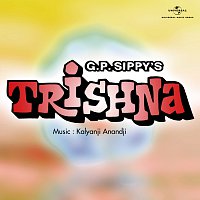 Trishna [Original Motion Picture Soundtrack]