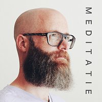 David – Meditatie