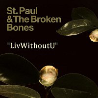 St. Paul & The Broken Bones – LivWithOutU