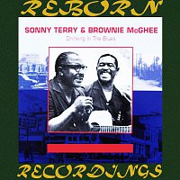 Sonny Terry, Brownie McGhee – Drinking In The Blues (HD Remastered)