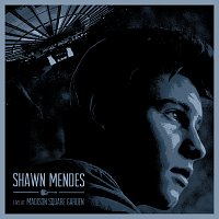 Shawn Mendes – Live At Madison Square Garden