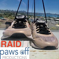 Paws Off – Raid